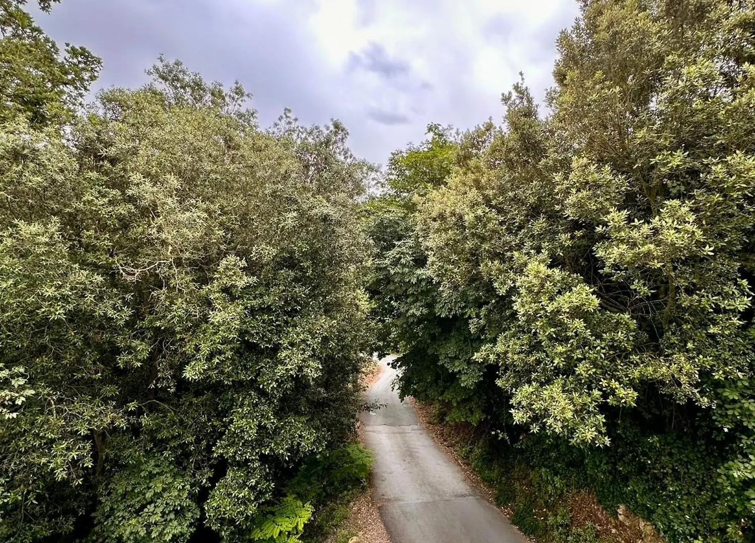 Hostdomus - Fuggi Nel Verde Finale Ligure